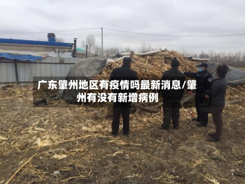 广东肇州地区有疫情吗最新消息/肇州有没有新增病例-第1张图片