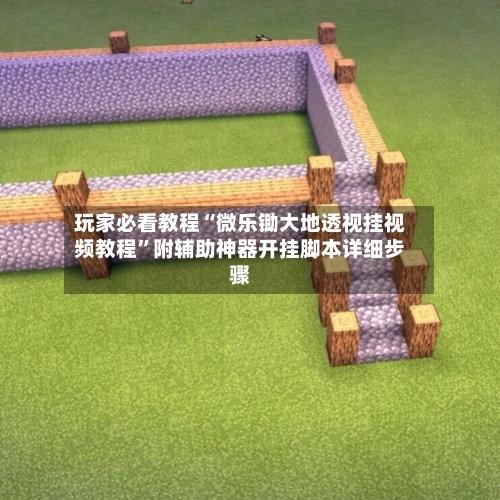 玩家必看教程“微乐锄大地透视挂视频教程”附辅助神器开挂脚本详细步骤-第1张图片