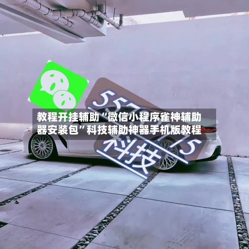 教程开挂辅助“微信小程序雀神辅助器安装包”科技辅助神器手机版教程-第1张图片