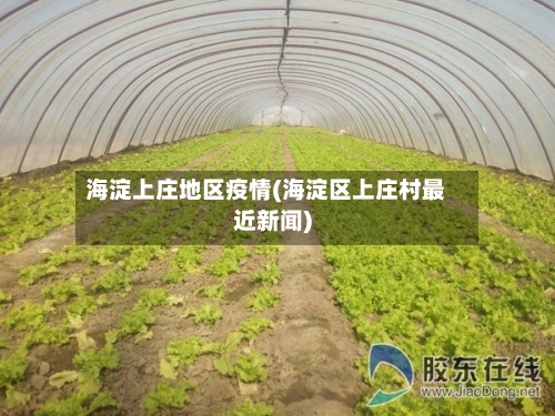 海淀上庄地区疫情(海淀区上庄村最近新闻)-第1张图片