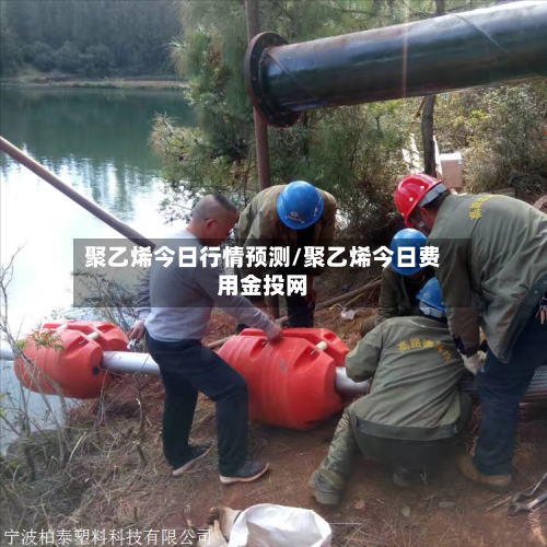 聚乙烯今日行情预测/聚乙烯今日费用金投网-第1张图片