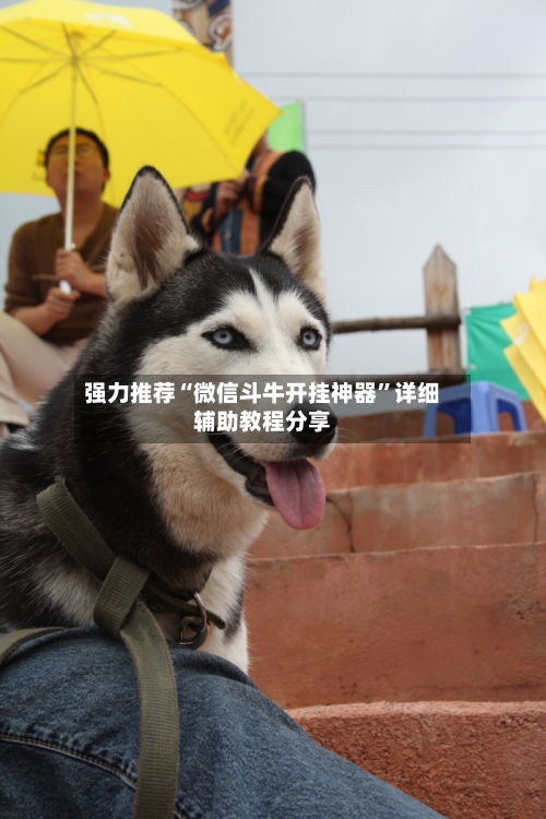 强力推荐“微信斗牛开挂神器”详细辅助教程分享-第1张图片