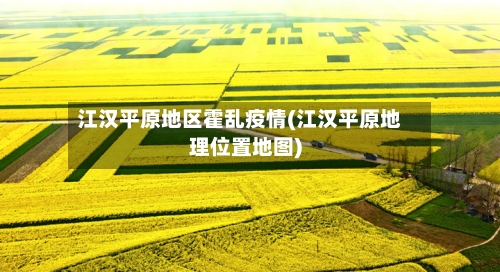 江汉平原地区霍乱疫情(江汉平原地理位置地图)-第1张图片