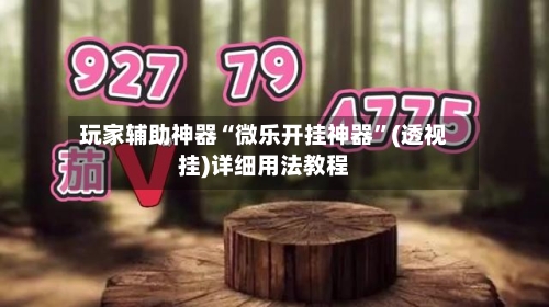 玩家辅助神器“微乐开挂神器”(透视挂)详细用法教程-第1张图片