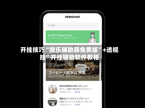 开挂技巧“微乐辅助器免费版”+透视挂”开挂辅助软件教程-第1张图片