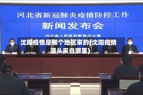 沈阳疫情是哪个地区来的(沈阳疫情源头来自哪里)-第1张图片