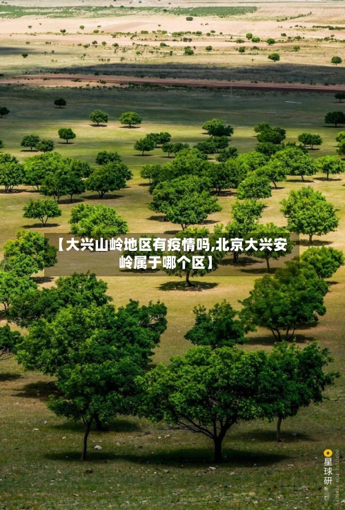【大兴山岭地区有疫情吗,北京大兴安岭属于哪个区】-第1张图片