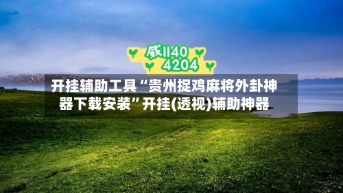开挂辅助工具“贵州捉鸡麻将外卦神器下载安装	”开挂(透视)辅助神器-第1张图片