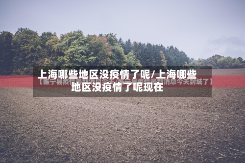 上海哪些地区没疫情了呢/上海哪些地区没疫情了呢现在-第1张图片