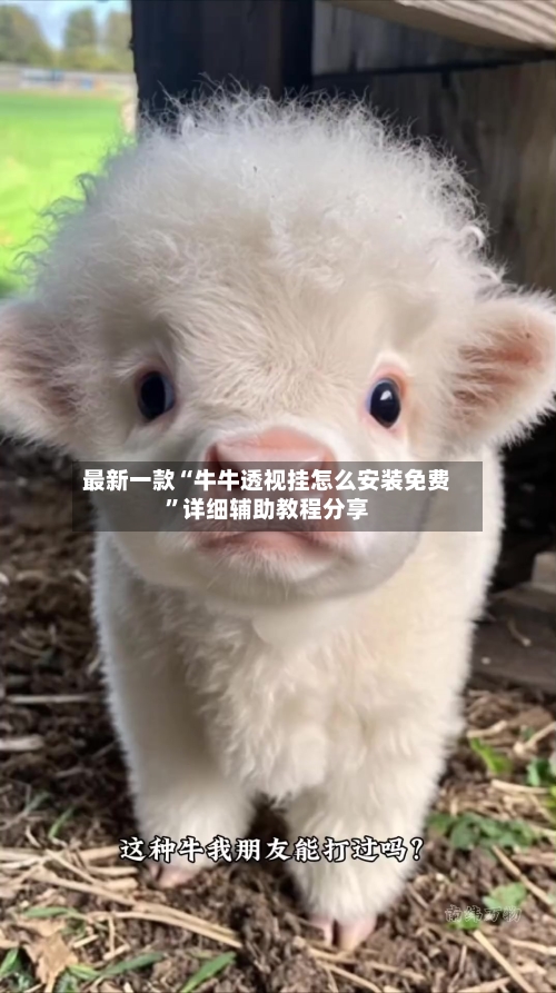 最新一款“牛牛透视挂怎么安装免费	”详细辅助教程分享-第1张图片