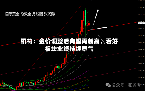 机构：金价调整后有望再新高，看好板块业绩持续景气-第1张图片