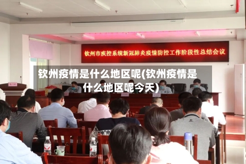 钦州疫情是什么地区呢(钦州疫情是什么地区呢今天)-第1张图片