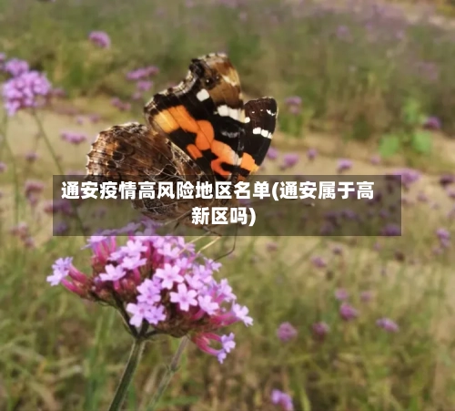 通安疫情高风险地区名单(通安属于高新区吗)-第1张图片