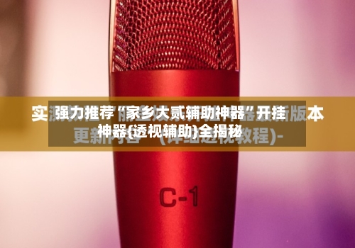 强力推荐“家乡大贰辅助神器”开挂神器{透视辅助}全揭秘-第1张图片