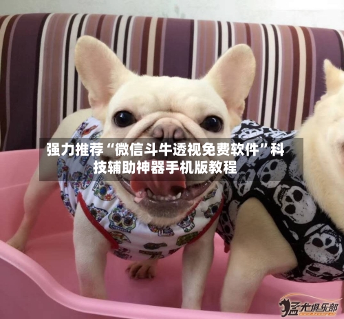 强力推荐“微信斗牛透视免费软件”科技辅助神器手机版教程-第1张图片