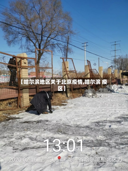 【哈尔滨地区关于北京疫情,哈尔滨 疫区】-第1张图片