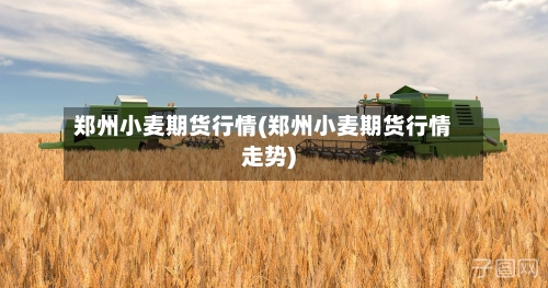 郑州小麦期货行情(郑州小麦期货行情走势)-第1张图片