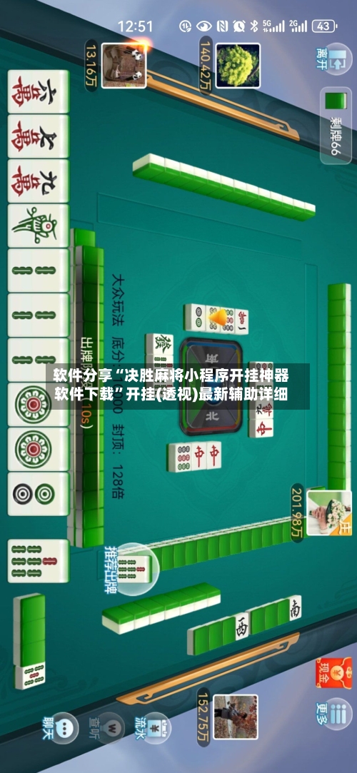 软件分享“决胜麻将小程序开挂神器软件下载”开挂(透视)最新辅助详细-第1张图片