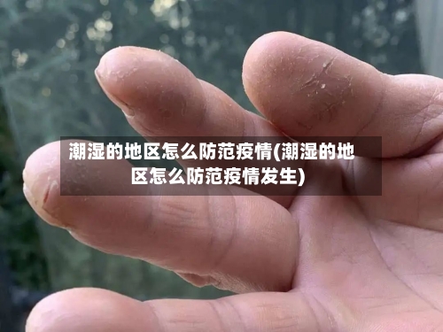 潮湿的地区怎么防范疫情(潮湿的地区怎么防范疫情发生)-第1张图片