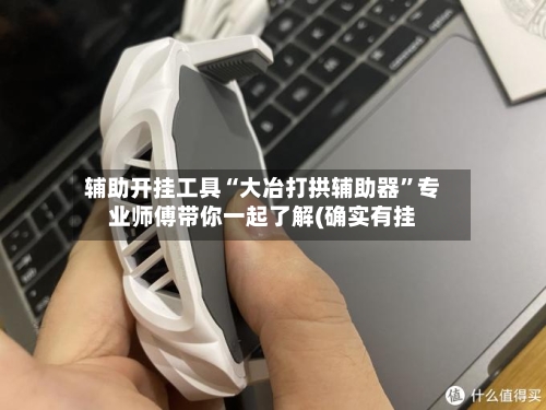辅助开挂工具“大冶打拱辅助器”专业师傅带你一起了解(确实有挂-第1张图片