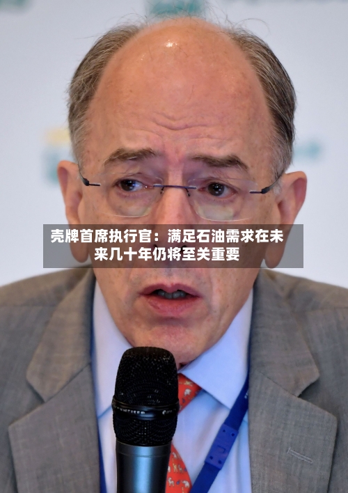 壳牌首席执行官:满足石油需求在未来几十年仍将至关重要-第1张图片