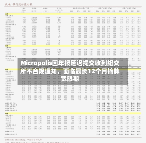 Micropolis因年报延迟提交收到纽交所不合规通知，面临最长12个月摘牌宽限期-第1张图片