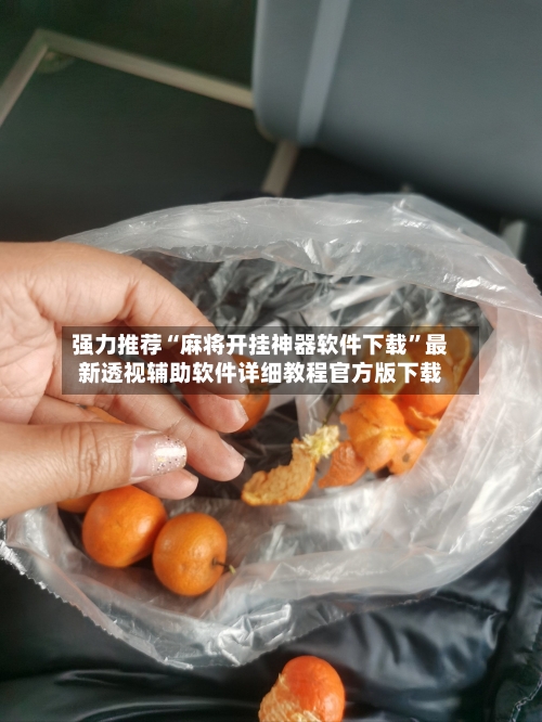 强力推荐“麻将开挂神器软件下载”最新透视辅助软件详细教程官方版下载-第1张图片