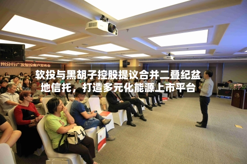 软投与黑胡子控股提议合并二叠纪盆地信托，打造多元化能源上市平台-第1张图片