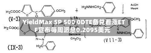 YieldMax SP 500 0DTE备兑看涨ETF宣布每周派息0.2095美元-第1张图片