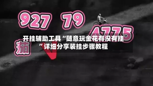 开挂辅助工具“随意玩金花有没有挂”详细分享装挂步骤教程-第1张图片