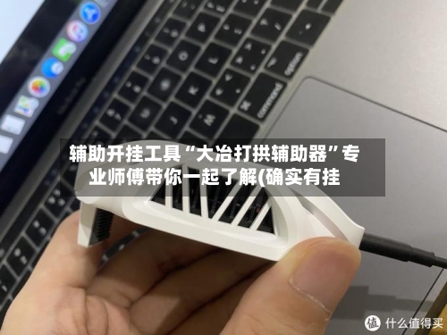 辅助开挂工具“大冶打拱辅助器”专业师傅带你一起了解(确实有挂-第1张图片