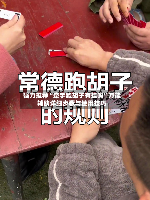 强力推荐“牵手跑胡子有挂吗	”万能辅助详细步骤与使用技巧-第1张图片