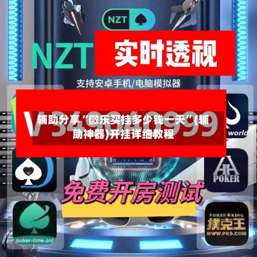 辅助分享“微乐买挂多少钱一天	”(辅助神器)开挂详细教程-第1张图片