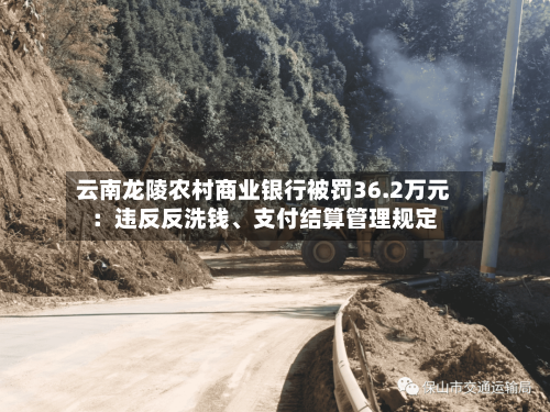 云南龙陵农村商业银行被罚36.2万元：违反反洗钱	、支付结算管理规定-第1张图片