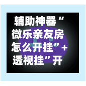 辅助神器“微乐亲友房怎么开挂”+透视挂	”开挂辅助软件教程-第1张图片