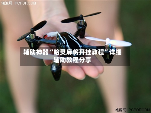 辅助神器“哈灵麻将开挂教程”详细辅助教程分享-第1张图片