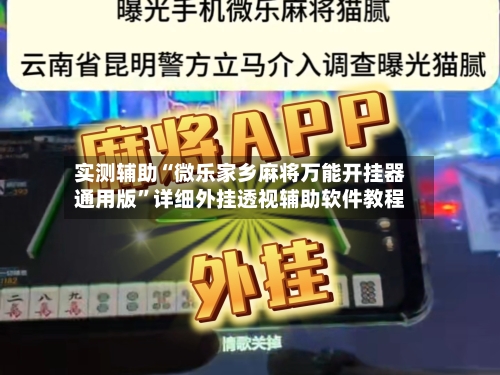 实测辅助“微乐家乡麻将万能开挂器通用版	”详细外挂透视辅助软件教程-第1张图片