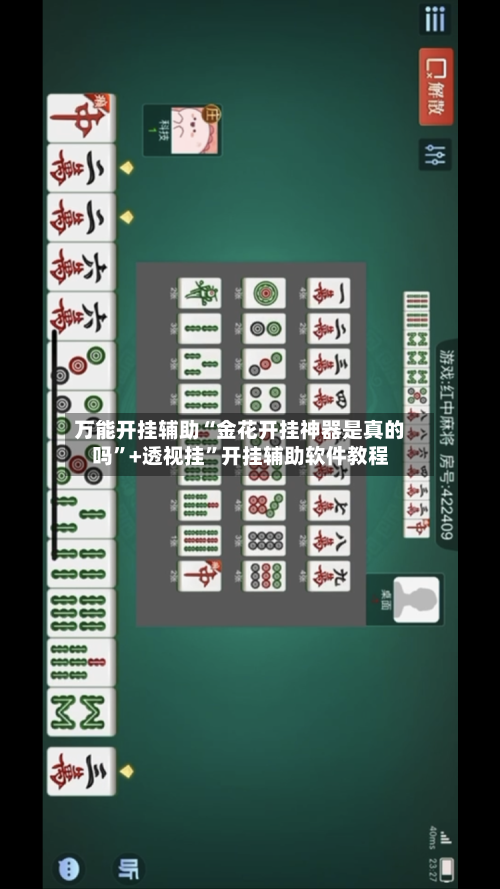 万能开挂辅助“金花开挂神器是真的吗”+透视挂”开挂辅助软件教程-第1张图片