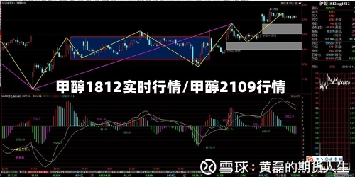 甲醇1812实时行情/甲醇2109行情-第1张图片