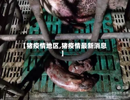 【猪疫情地区,猪疫情最新消息】-第1张图片