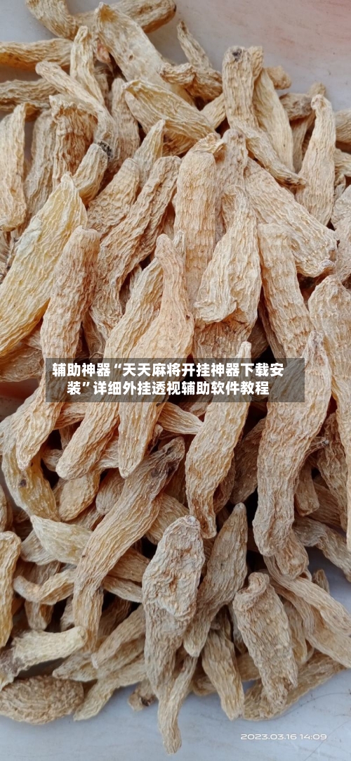 辅助神器“天天麻将开挂神器下载安装”详细外挂透视辅助软件教程-第1张图片