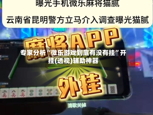 专家分析“微乐游戏到底有没有挂”开挂(透视)辅助神器-第1张图片