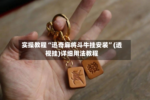 实操教程“迅奇麻将斗牛挂安装	”(透视挂)详细用法教程-第1张图片