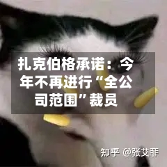 扎克伯格承诺：今年不再进行“全公司范围”裁员-第1张图片