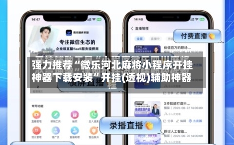 强力推荐“微乐河北麻将小程序开挂神器下载安装	”开挂(透视)辅助神器-第1张图片