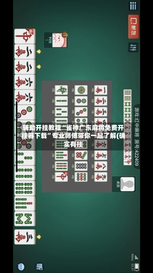 辅助开挂教程“雀神广东麻将免费开挂器下载”专业师傅带你一起了解(确实有挂-第1张图片