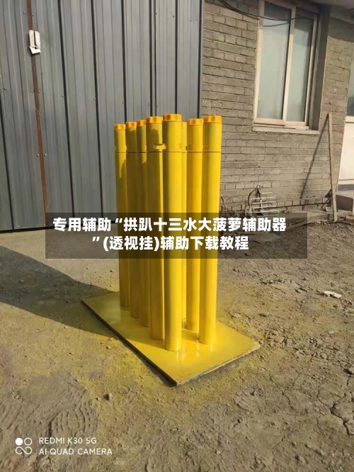 专用辅助“拱趴十三水大菠萝辅助器”(透视挂)辅助下载教程-第1张图片