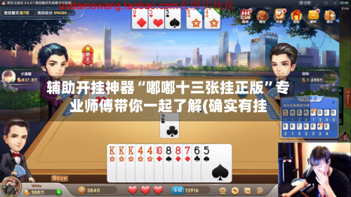 辅助开挂神器“嘟嘟十三张挂正版”专业师傅带你一起了解(确实有挂-第1张图片