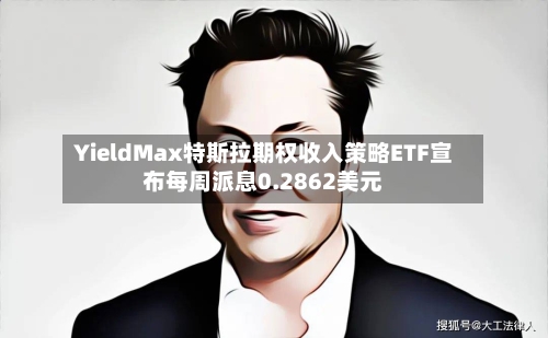 YieldMax特斯拉期权收入策略ETF宣布每周派息0.2862美元-第1张图片