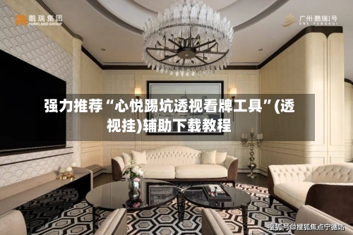 强力推荐“心悦踢坑透视看牌工具	”(透视挂)辅助下载教程-第1张图片